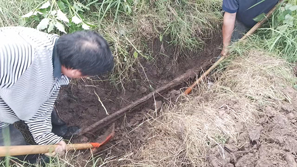 忠縣分公司石寶、紅星客運碼頭對消落期港區(qū)系泊設(shè)施設(shè)備進行維護保養(yǎng)3.jpg